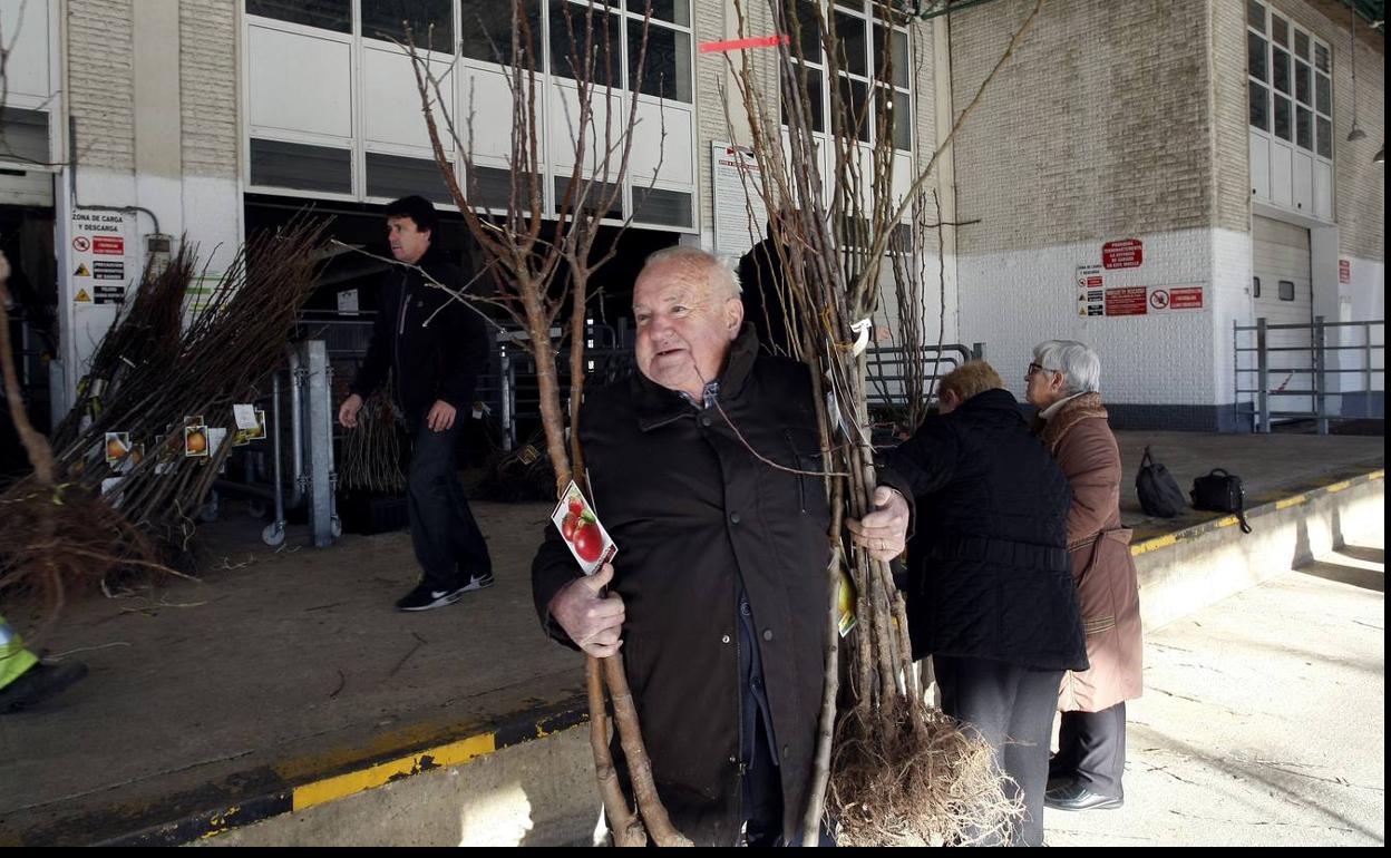 Este lunes finaliza el plazo para participar en la campaña del árbol de Torrelavega