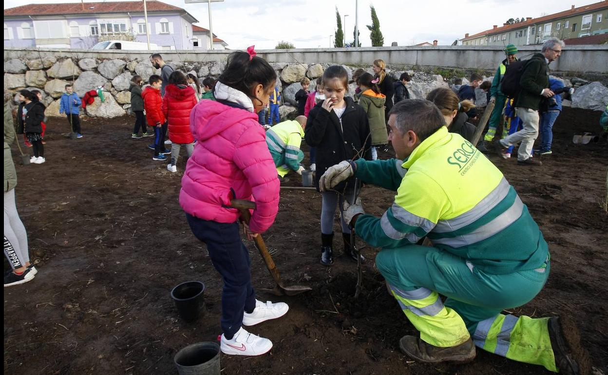 Escolares plantan 66 árboles en una finca de Barreda