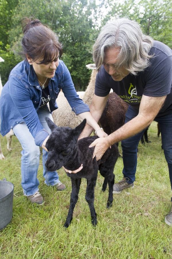 Actividad del Proyecto ‘De Granja en Granja'