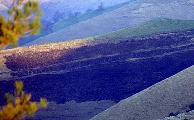 Imagen principal - Un incendio provocado está activo en la zona de Peña Negra en Vega de Pas