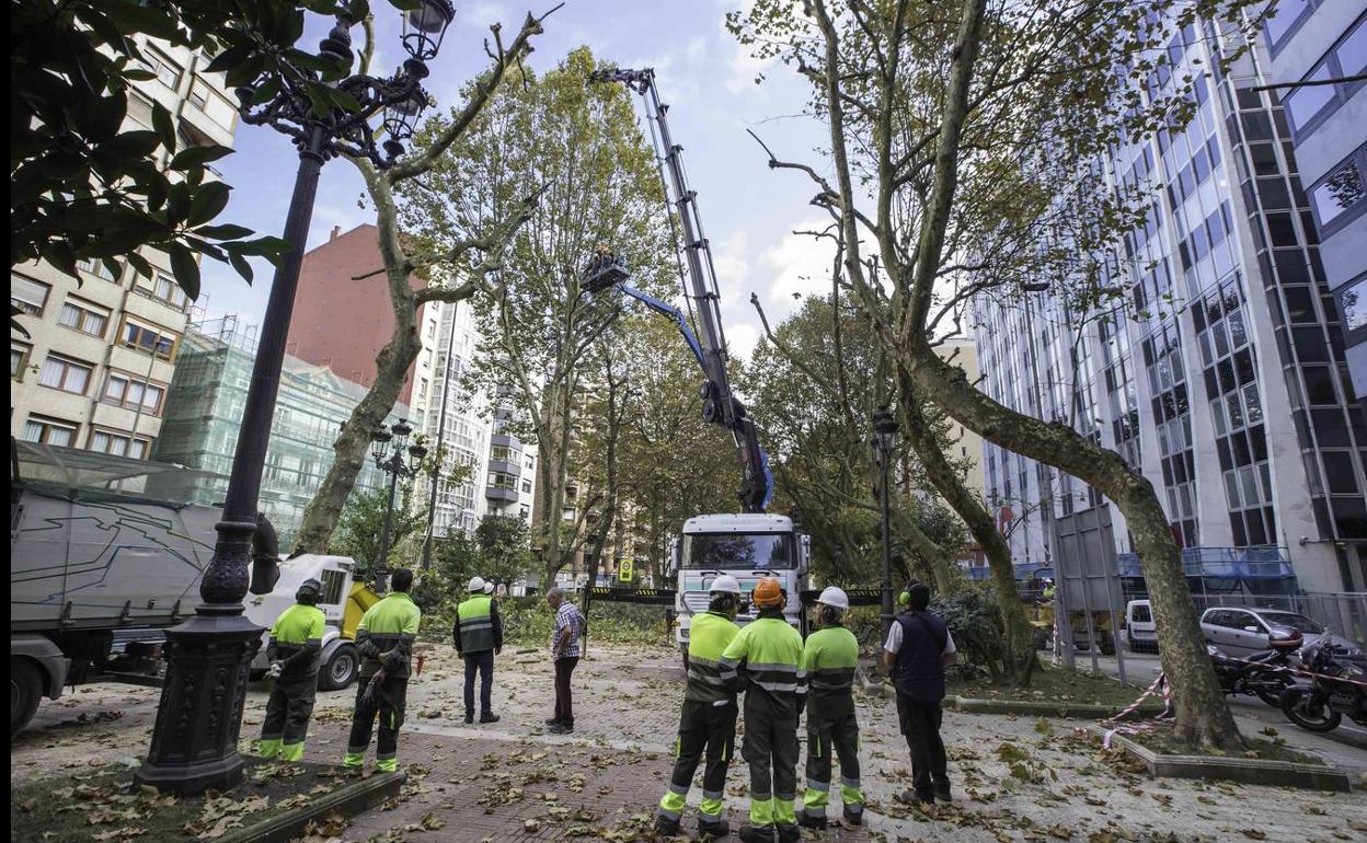 El comité de Parques y Jardines dice que la nueva oferta económica es «insuficiente»