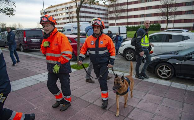 Un equipo de perros, drones y 51 efectivos