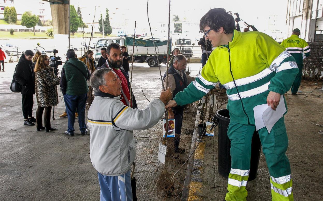 Operarios del Serca realizan la entrega de los árboles en el Mercado de Ganados.