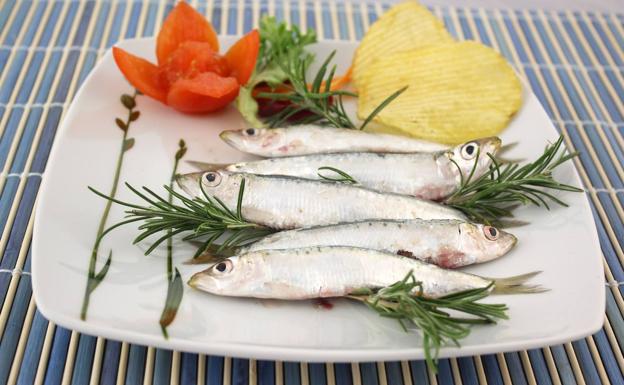 El pescado, protagonista del octavo número