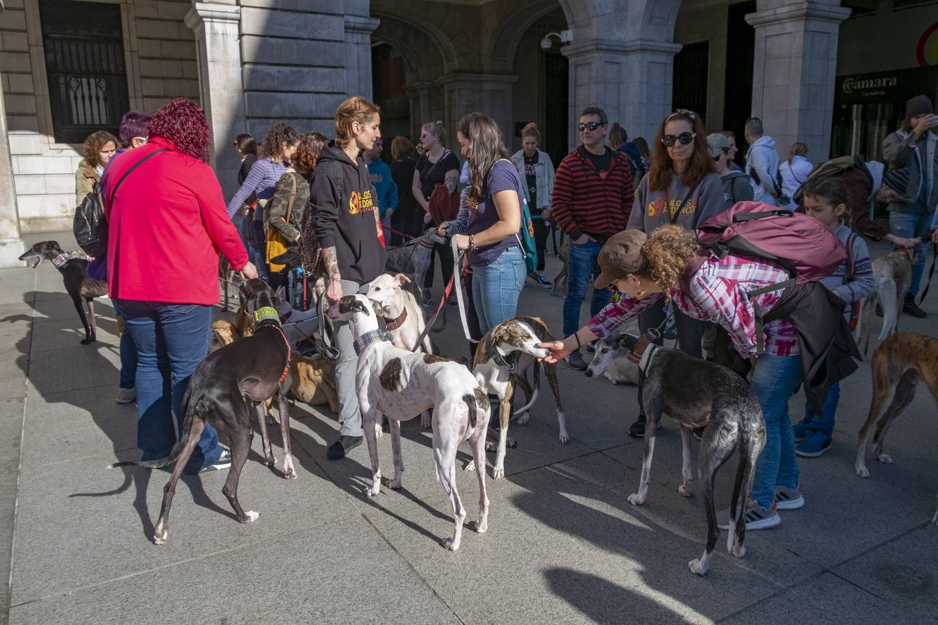 Unas 300 personas, según datos de la Policía Local, se han manifestado este domingo en Santander para exigir, «a quienes tienen que legislar», el fin de la caza y del uso de perros en la actividad cinegética, que para los convocantes no es «deporte» ni «tradición» sino «negocio» y «asesinato».