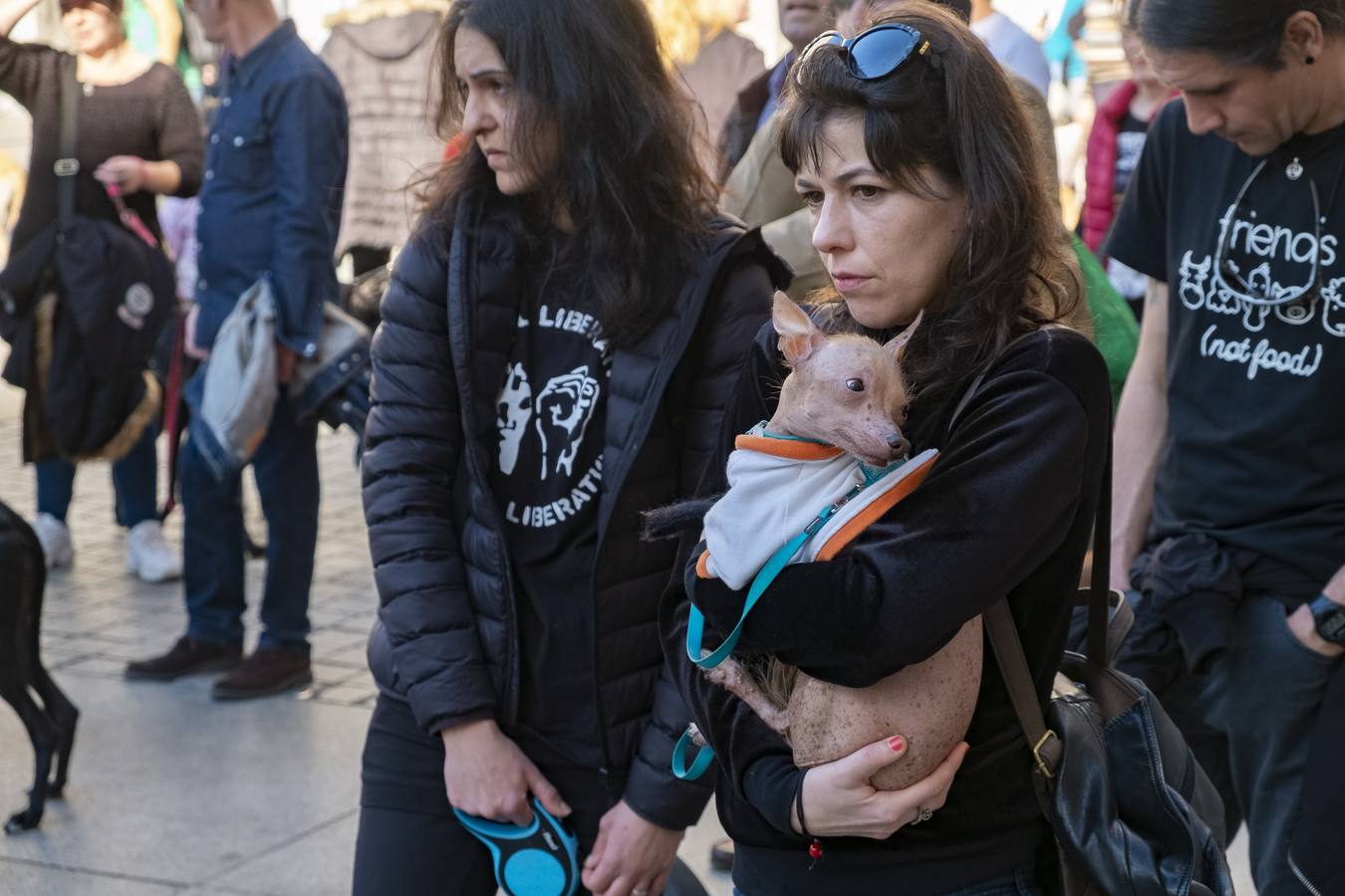 Unas 300 personas, según datos de la Policía Local, se han manifestado este domingo en Santander para exigir, «a quienes tienen que legislar», el fin de la caza y del uso de perros en la actividad cinegética, que para los convocantes no es «deporte» ni «tradición» sino «negocio» y «asesinato».