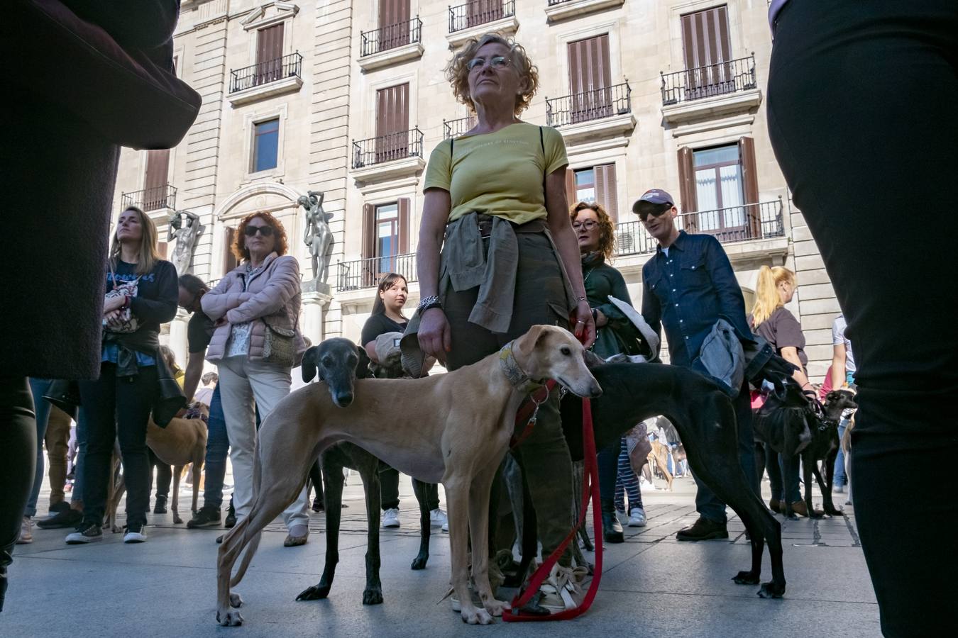 Unas 300 personas, según datos de la Policía Local, se han manifestado este domingo en Santander para exigir, «a quienes tienen que legislar», el fin de la caza y del uso de perros en la actividad cinegética, que para los convocantes no es «deporte» ni «tradición» sino «negocio» y «asesinato».