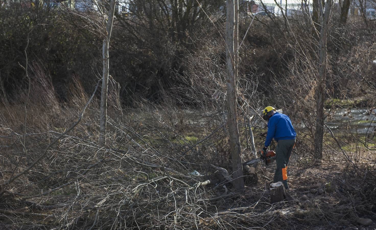 Comenzaron las obras de limpieza de los ríos Híjar y Ebro a su paso por las localidades de Reinosa y Matamorosa (Campoo de Enmedio) para evitar nuevas inundaciones como las del pasado mes de diciembre, cuando se produjo el desbordamiento de dichos ríos como consecuencia de las fuertes lluvias, anegando varias zonas urbanas, lo que provocó cuantiosos daños materiales.