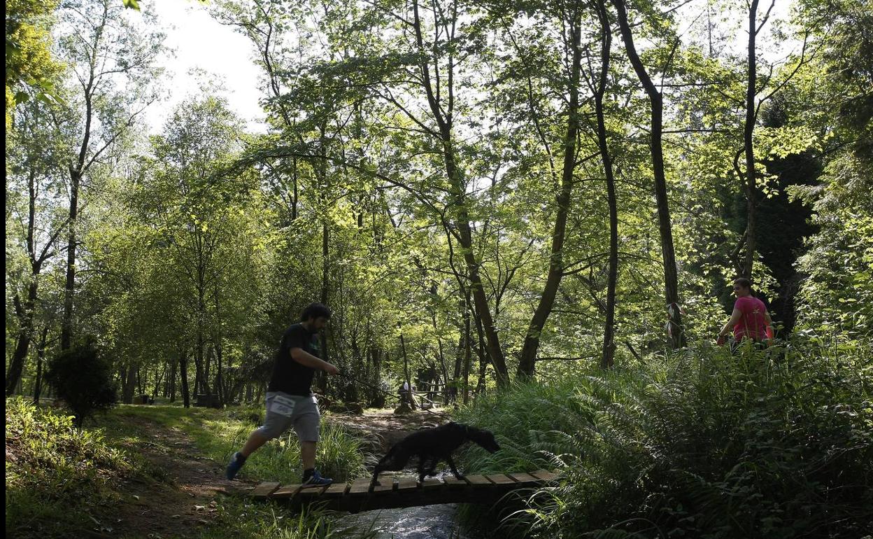 Torrelavega desarrollará un nuevo proyecto de conservación en La Viesca