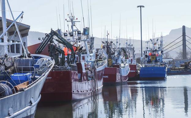 La flota se prepara para salir a la costera del verdel a principios de marzo. En la imagen, embarcaciones ayer en el puerto de Colindres. ::