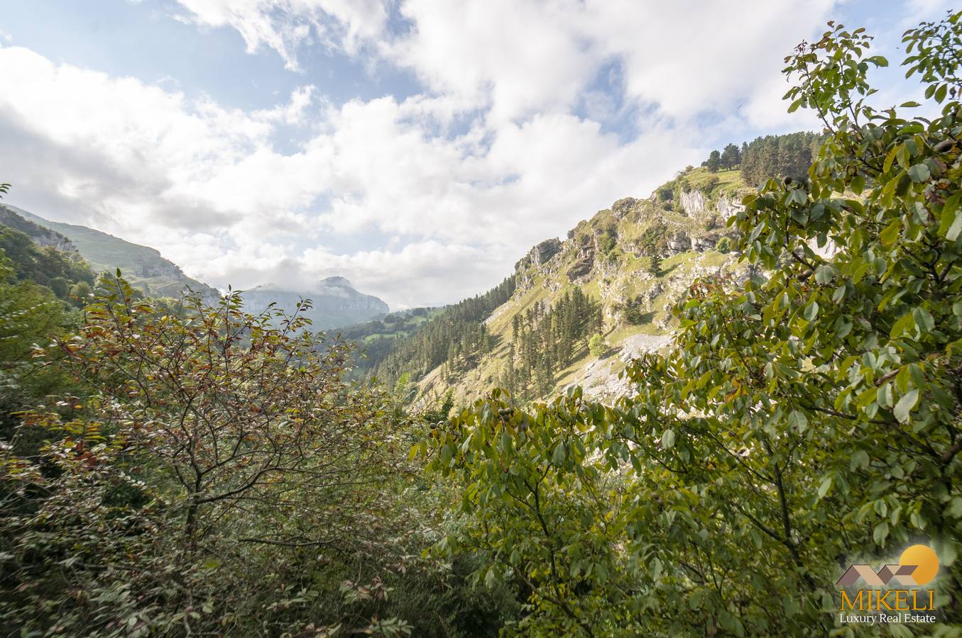 La inmobiliaria cántabra Mikeli ha vendido la propiedad a uno de los integrantes del grupo La Banda del Capitán Inhumano, que ha encontrado en esta cabaña la tranquilidad y el sosiego necesario para sus composiciones.