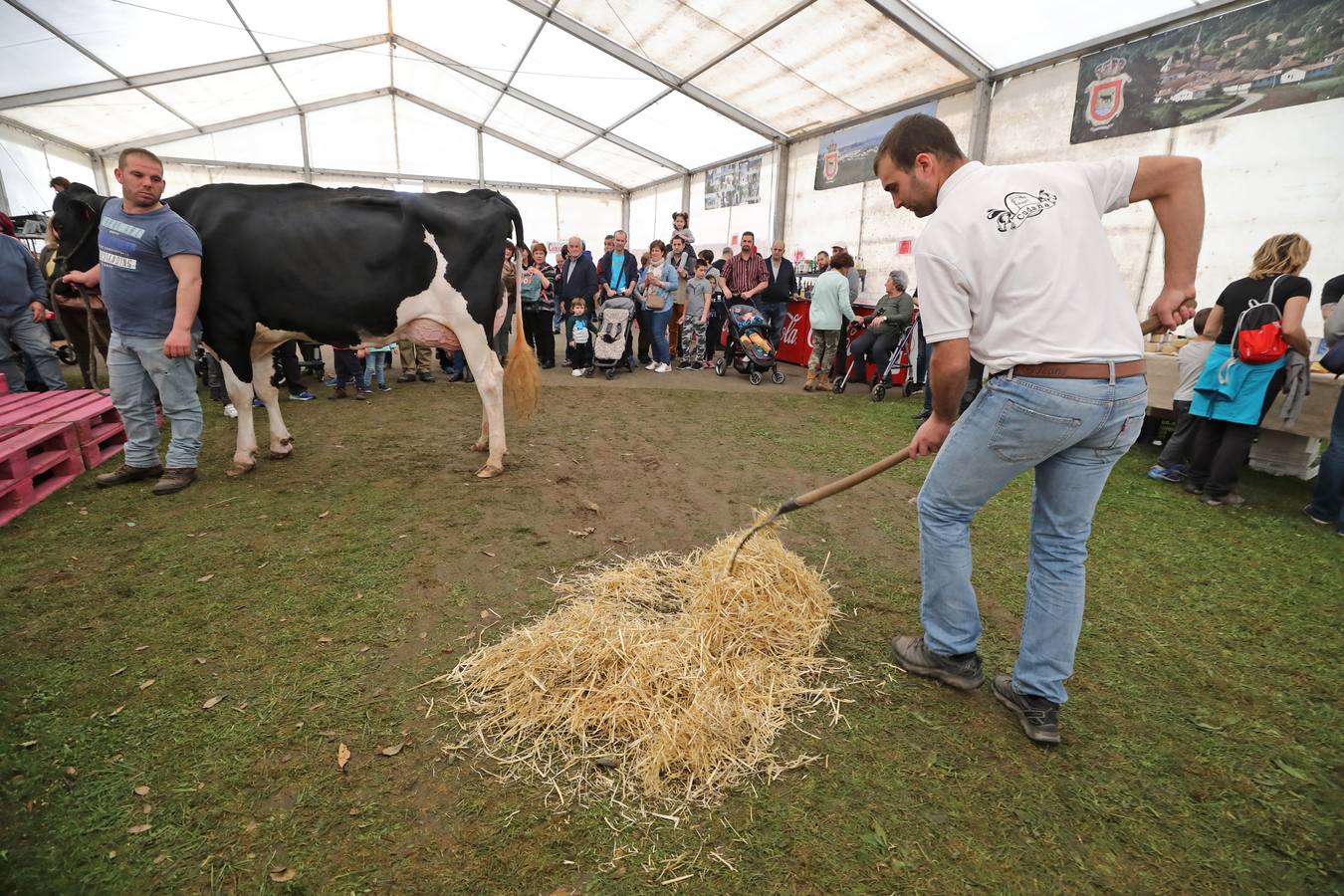 La Feria de la Leche de Trasierra ha ensalzado la labor de los ganaderos y un precio justo para la leche por cuarto año consecutivo, un evento con gran aceptación que se ha celebrado en este barrio del municipio de Ruiloba con motivo de la festividad de Santa Eulalia. 