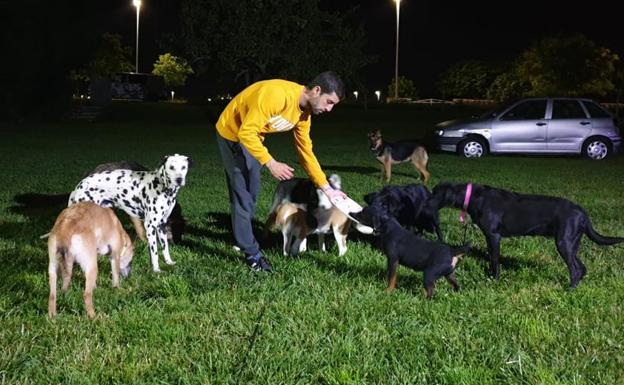 «Cada vez hay más gente que contrata un servicio de guardería para su perro mientras trabaja»