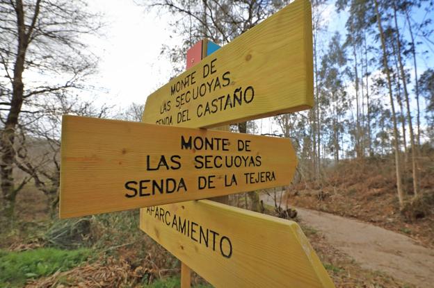 El Ayuntamiento ya ha instalado las nuevas señales indicativas de las diferentes rutas. 