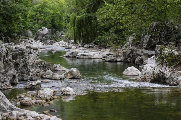 Imagen actual del río Pas. sane