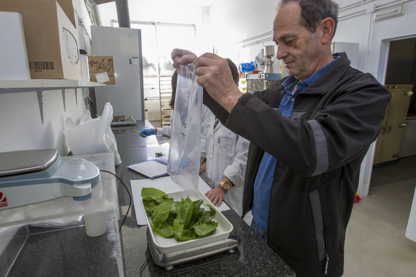 El banco de semillas del Centro de Investigación y Formación Agraria (CIFA) de Cantabria atesora el patrimonio genético de especies hortofrutícolas tradicionales de la región. Su trabajo busca frenar la pérdida de la biodiversidad agrícola; recuperar el cultivo de variedades tradicionales; favorecer la seguridad alimentaria; garantizar la disponibilidad de los recursos necesarios en el futuro y la puesta en valor de especies que tal vez tengan menos rentabilidad comercial, pero que su alta calidad y sus propiedades organolépticas –cómo sabe, cómo huele, su textura– compense ese mayor coste 