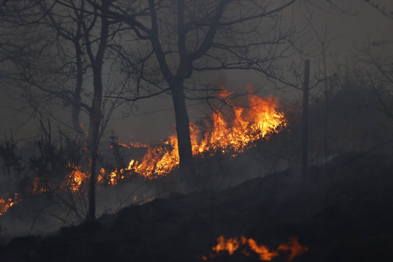 Fuego en la carretera que va hacia Carmona.