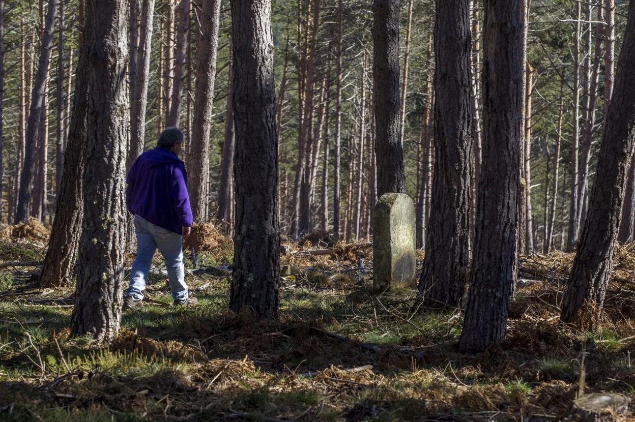 Una de las dos lápidas funerarias que se encuentran en el bosque de la Sierra de Santa Juliana. 