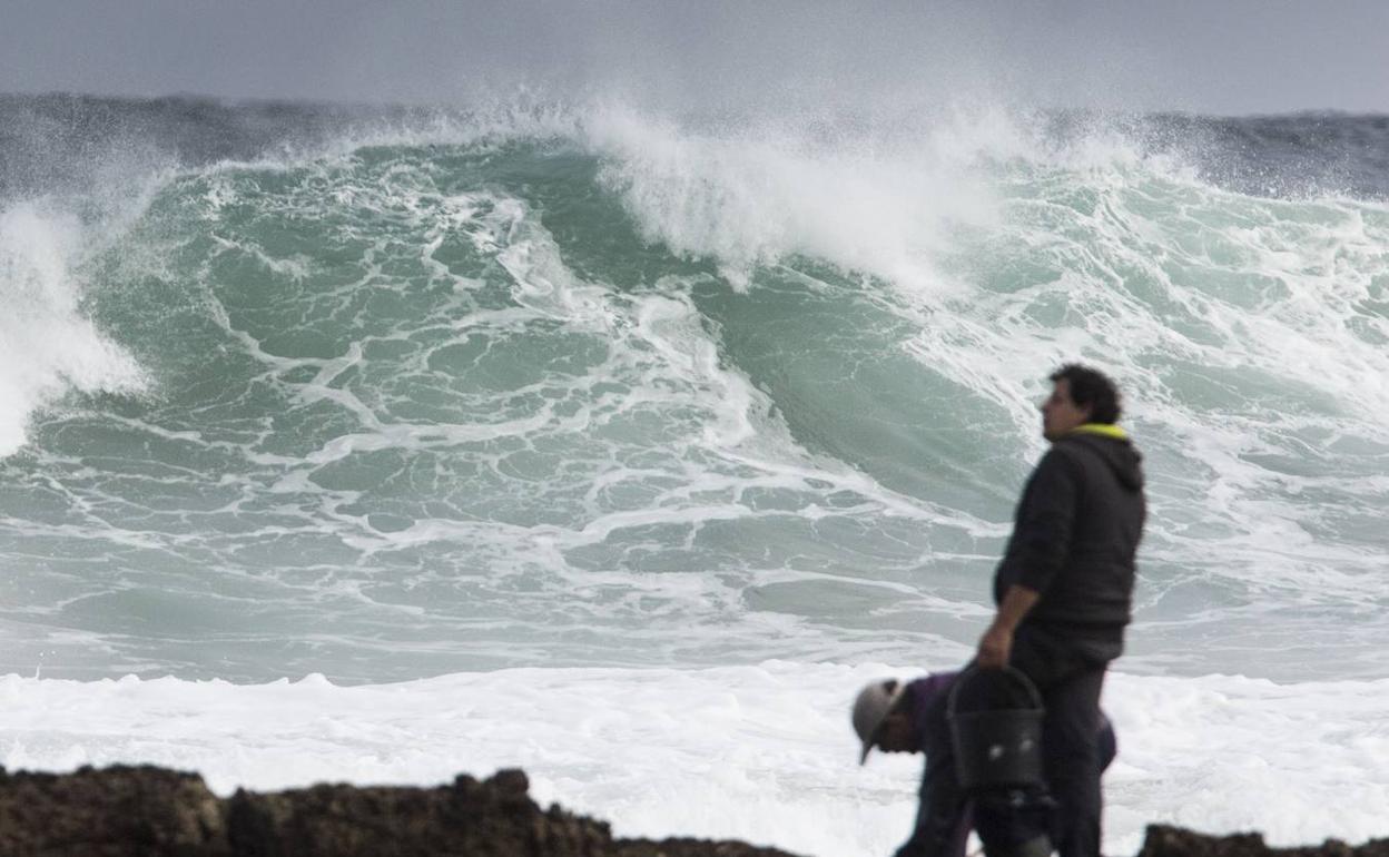 Árboles derribados y rachas de viento de 110 km/h en Cantabria