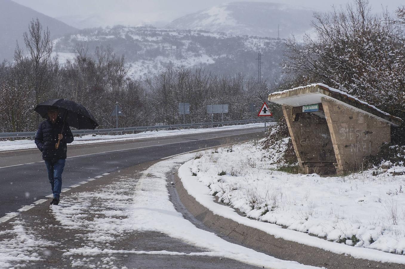 Fotos: Llega la nieve al sur de Cantabria