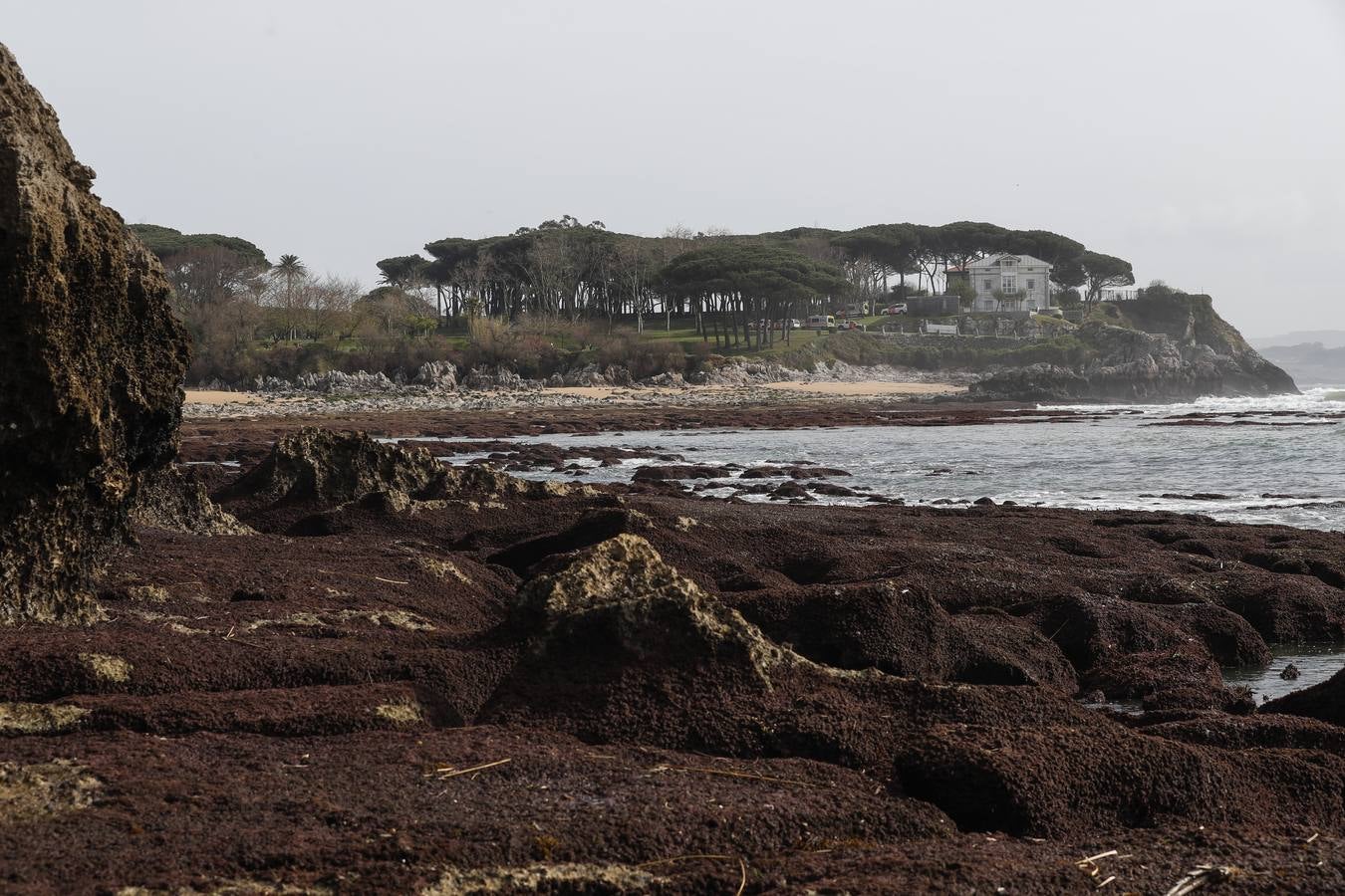 Fotos: La marea viva deja espectaculares imágenes de la bahía de Santander con la bajamar y la pleamar