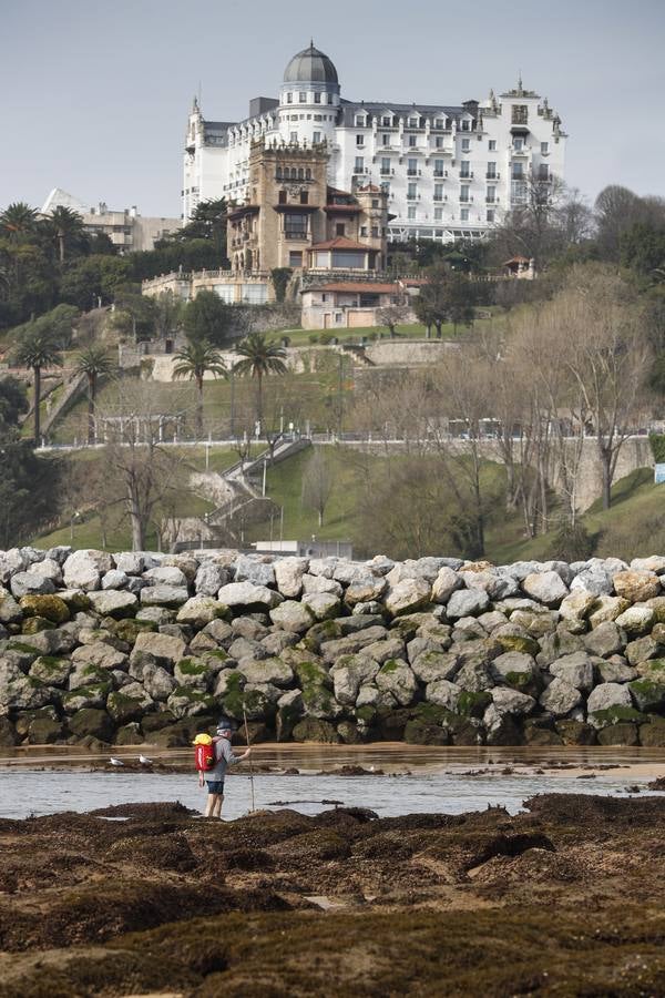 Fotos: La marea viva deja espectaculares imágenes de la bahía de Santander con la bajamar y la pleamar