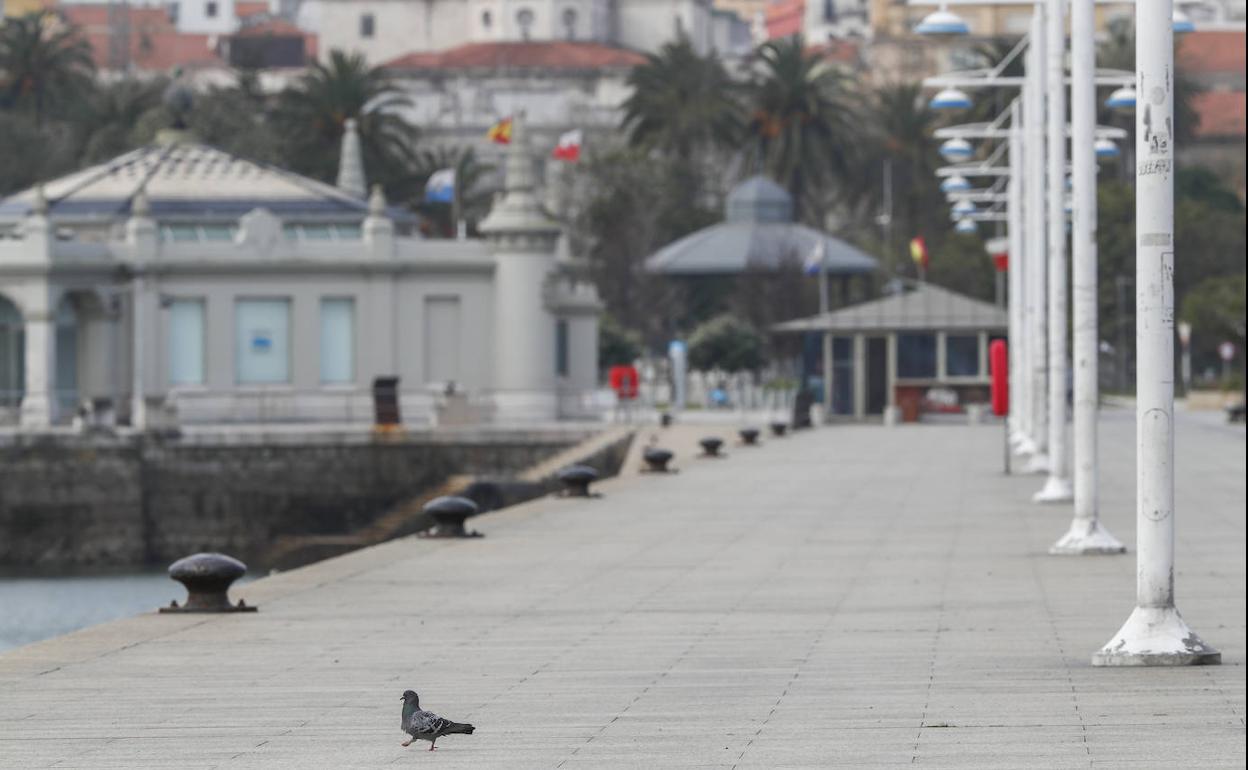 El Paseo Marítimo de Santander, completamente vacío este domingo.