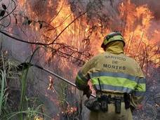 Fotos: Desde ayer se han provocado 11 incendios forestales en pleno estado de alarma