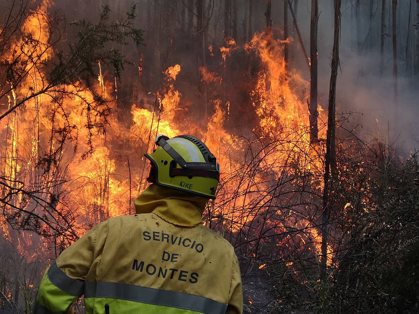 Fotos: Desde ayer se han provocado 11 incendios forestales en pleno estado de alarma