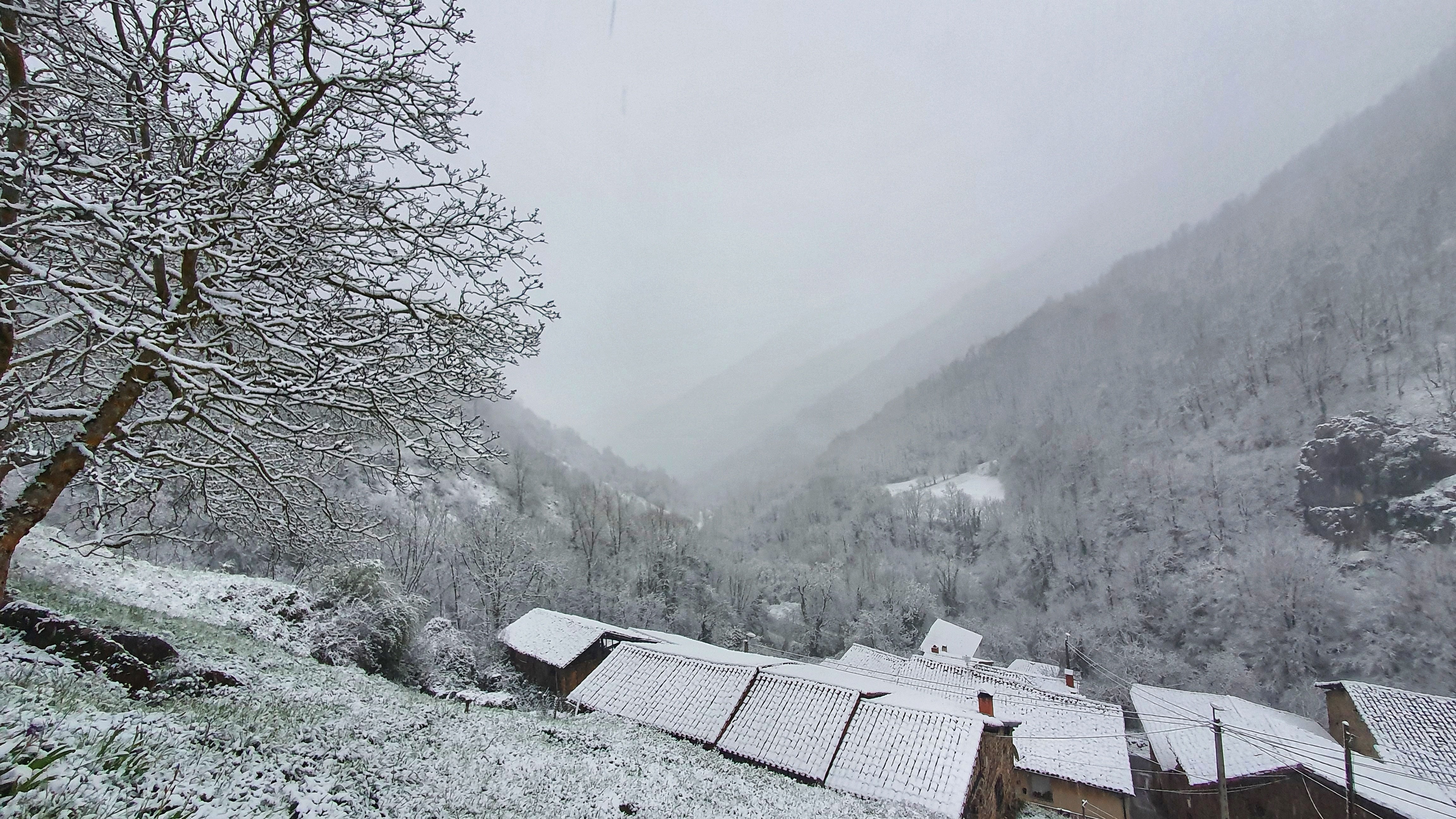 Fotos: La nieve vuelve a Cantabria