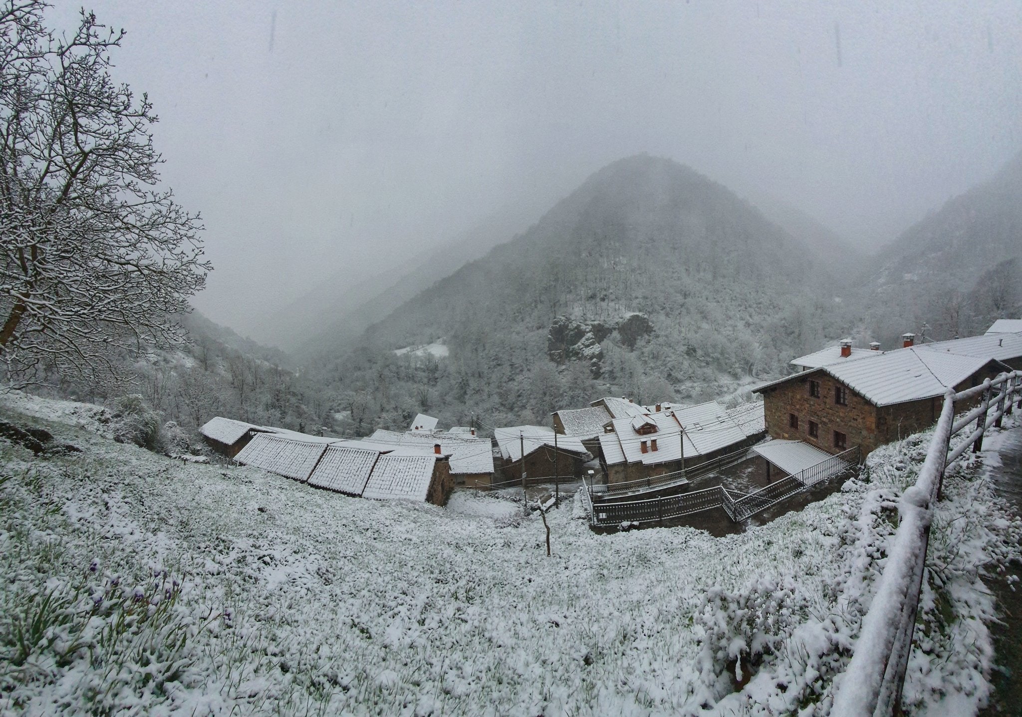 Fotos: La nieve vuelve a Cantabria