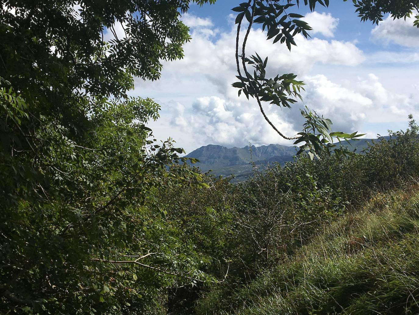 Fotos: Un pequeño recorrido por el Macizo de las Enguinzas, en el Valle del Miera