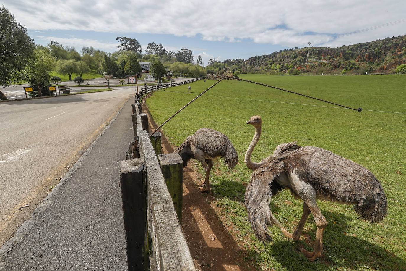 Fotos: Cabárceno y sus animales viven su Semana Santa mas extraña y solitaria