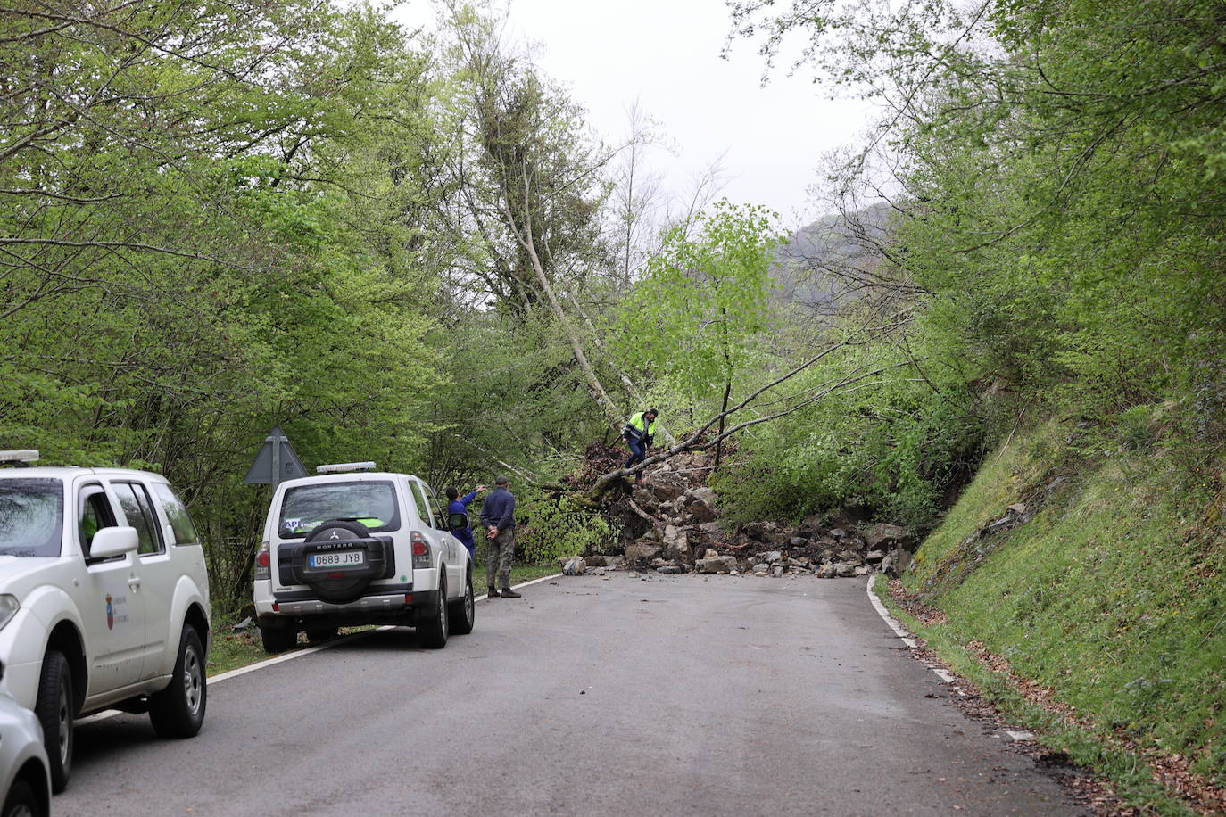 Un argayo de proporciones considerables invadió esta tarde la carretera CA-280, que une Reinosa con el valle de Cabuérniga, en el kilómetro 14,2 a la altura del pueblo de Saja, perteneciente al municipio de Los Tojos.