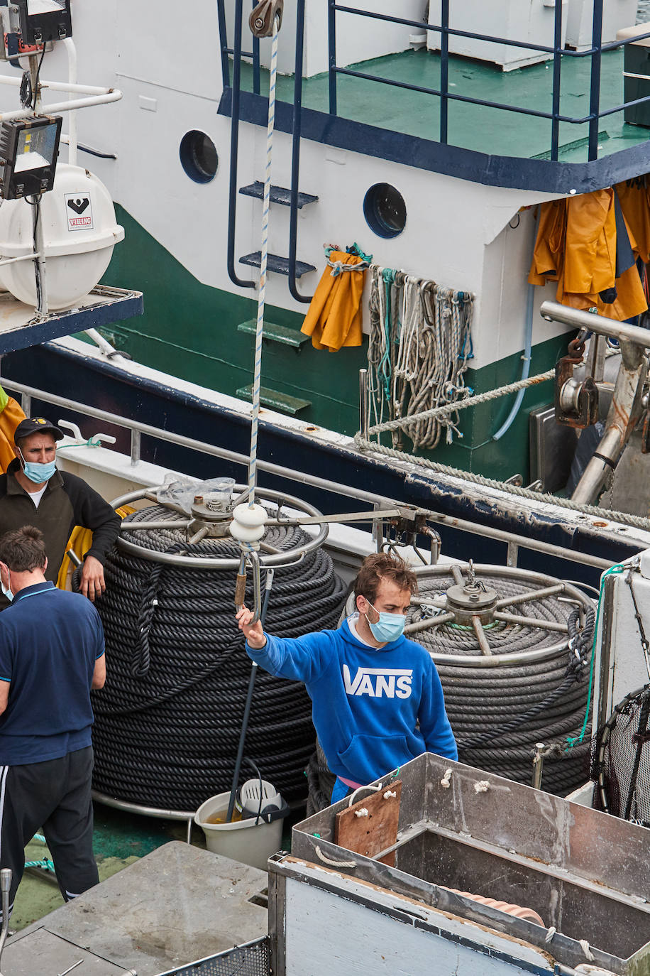 La flota pesquera de Cantabria vuelve este lunes a la mar para iniciar la costera. Los barcos de cerco se vieron obligados a amarrar en puerto hace tres semanas y retoman la actividad con fuertes medidas de seguridad. Ayer, domingo, prepararon todo el material para salir hoy temprano.