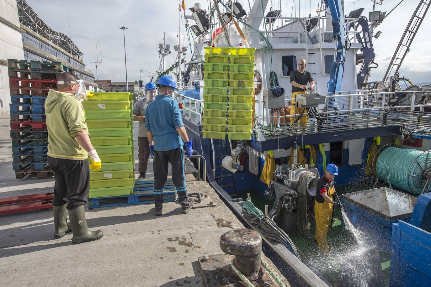 En su primer día de costera, la flota se encontró con abundate pescado a pocas millas de la costa oriental. Las lonjas de Santoña y Laredo subastaron 500 toneladas