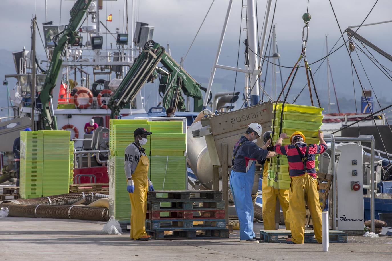 En su primer día de costera, la flota se encontró con abundate pescado a pocas millas de la costa oriental. Las lonjas de Santoña y Laredo subastaron 500 toneladas