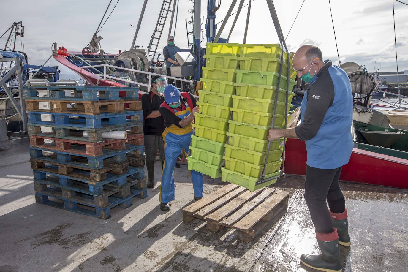 En su primer día de costera, la flota se encontró con abundate pescado a pocas millas de la costa oriental. Las lonjas de Santoña y Laredo subastaron 500 toneladas