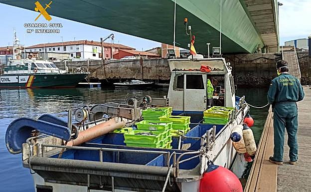 Imagen principal - La Guardia Civil entrega media tonelada de pescado intervenido al banco de alimentos