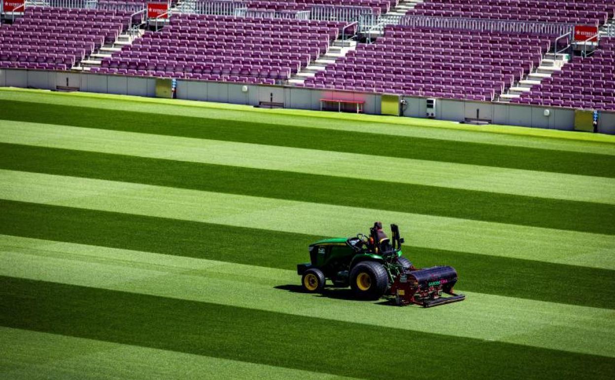 El césped del Camp Nou 