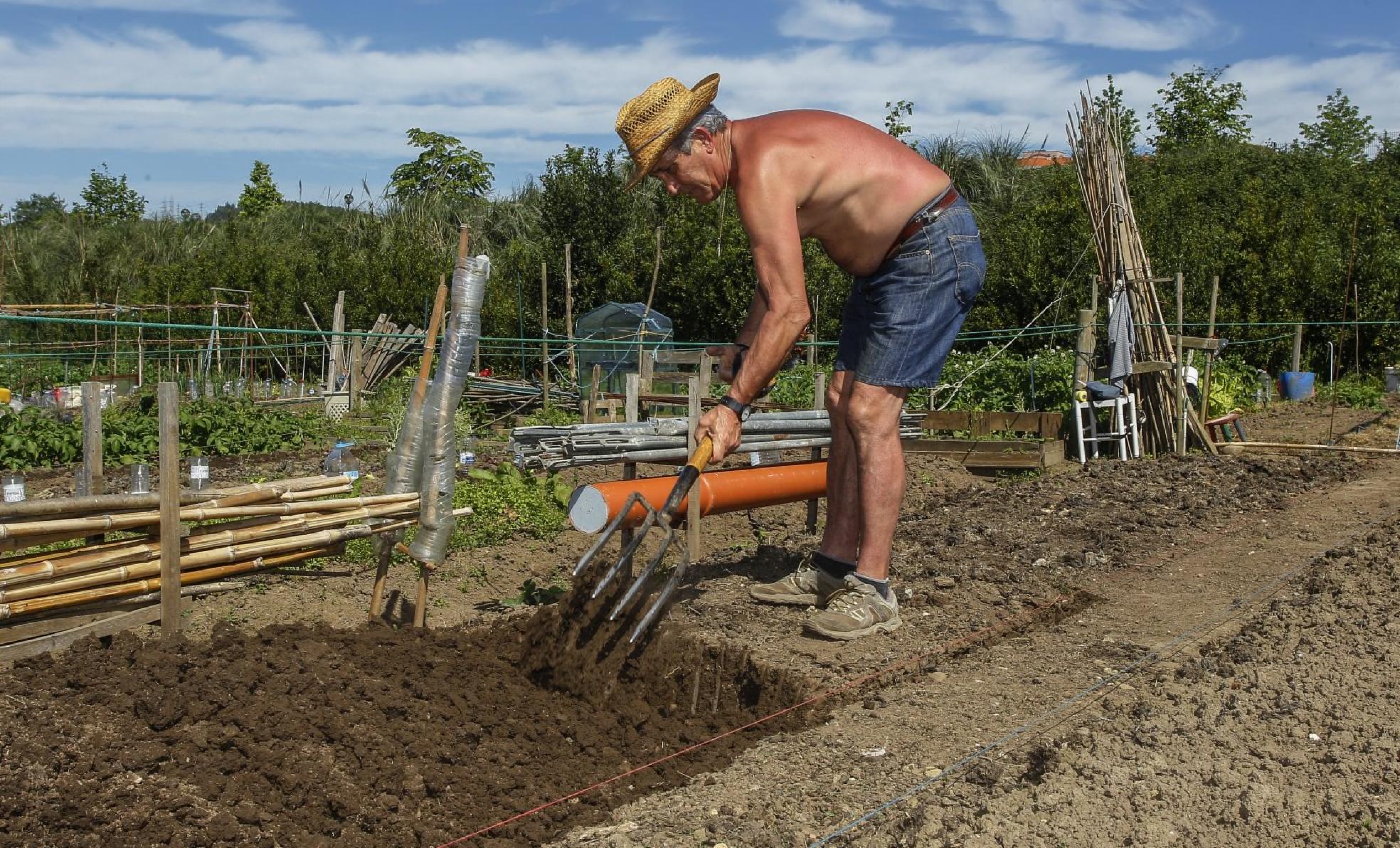 «Las huertas se habían quedado abandonadas»