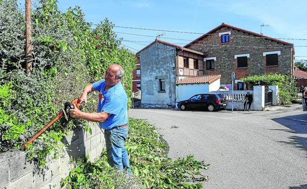 Un vecino aprovecha la mañana para podar los árboles de los alrededores de su casa en Miengo.