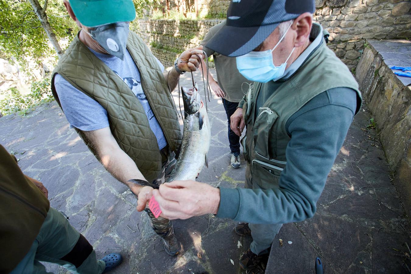 Fotos: Los pescadores vuelven a los ríos