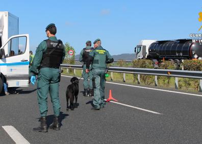 Imagen secundaria 1 - Dos detenidos cuando circulaban por la autovía A-8 con 30 bellotas de hachís en el coche