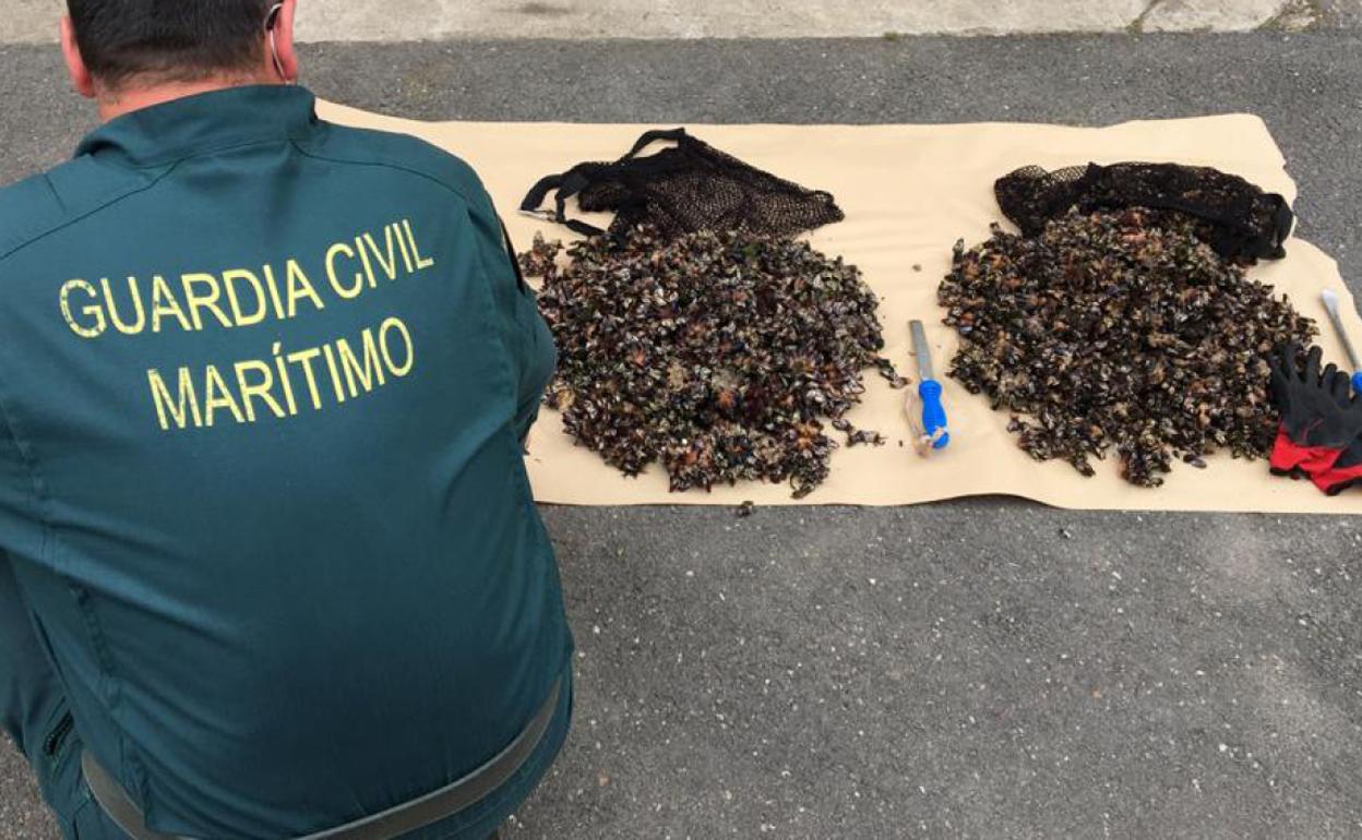 La Guardia Civil pesca a dos furtivos con 20 kilos de percebes en los acantilados de Arnuero