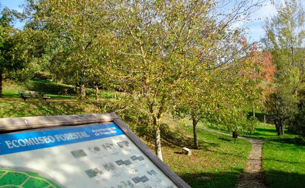 Arboretum de Pesquera.