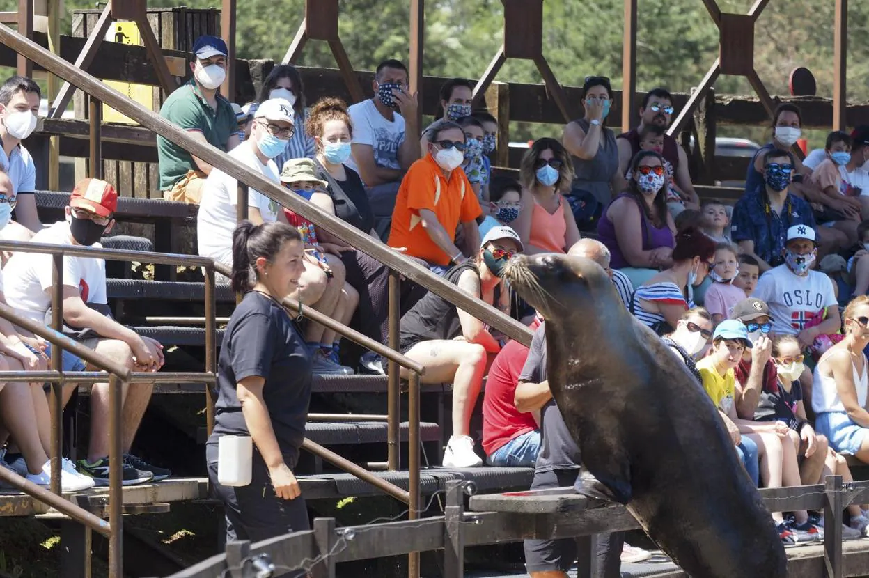 Cabárceno aprovecha el buen tiempo y registra 937 visitantes | El Diario  Montañés