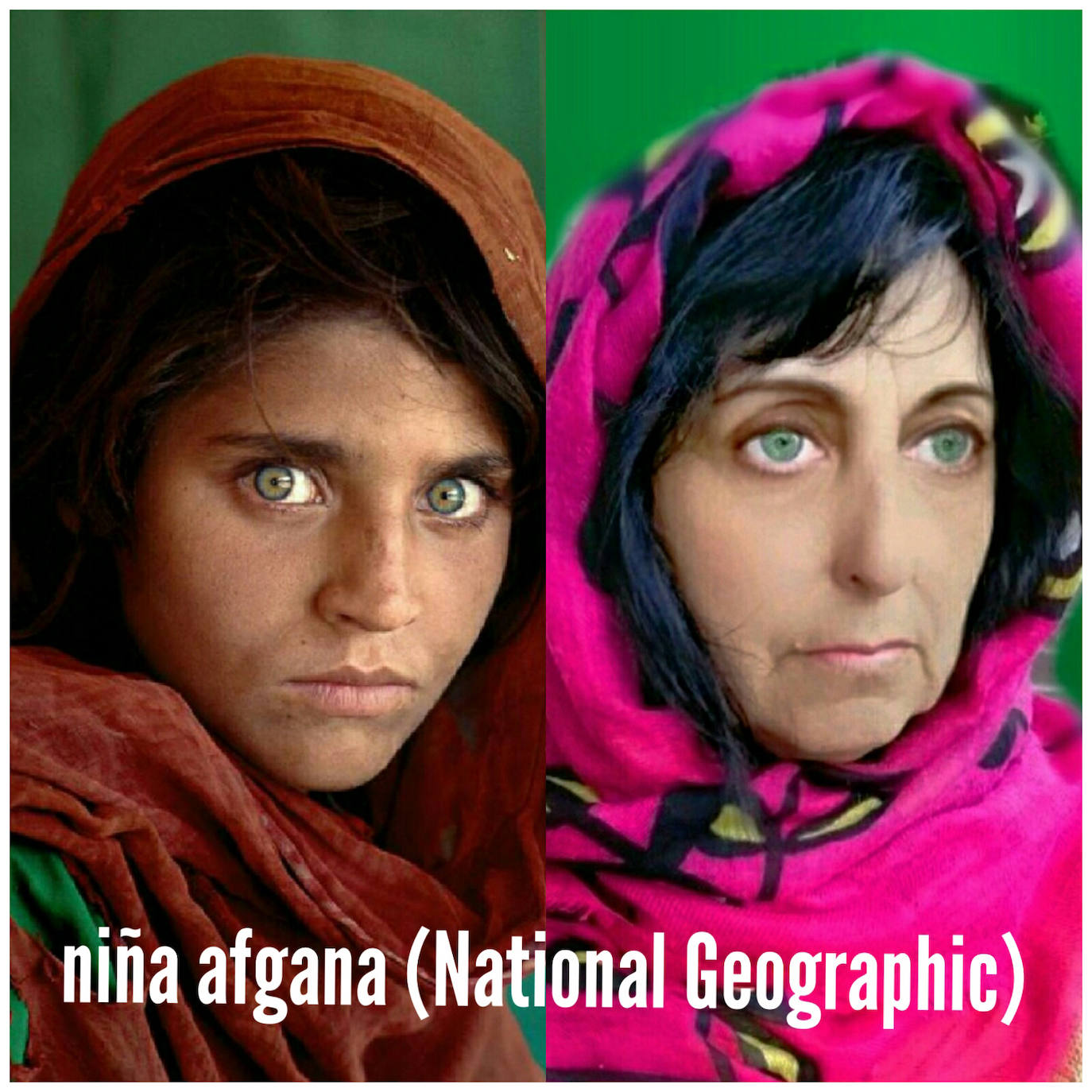 Título del cuadro/fotografía: ‘Niña afgana’. Autor/a: Steve McCurry. Pintado: 1984. Maestro/a imitador: Charo Ocerín, Maestra de Religión.