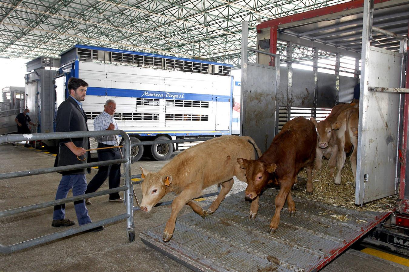 El recinto ferial ha vuelto a abrir sus puertas tras el parón como consecuencia del Covid en una jornada en la que sólo se ha permitido la entrada a profesionales.