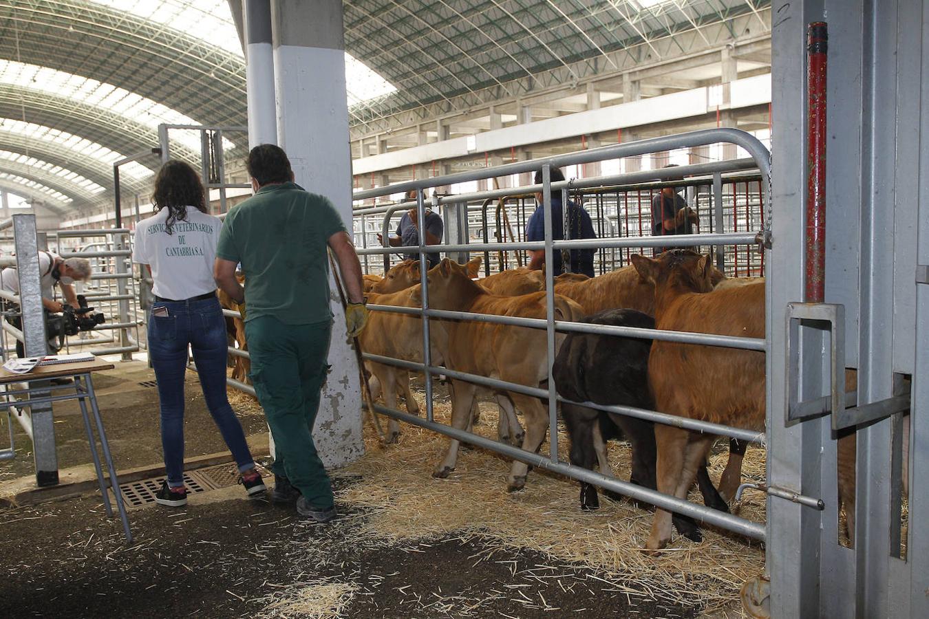 El recinto ferial ha vuelto a abrir sus puertas tras el parón como consecuencia del Covid en una jornada en la que sólo se ha permitido la entrada a profesionales.